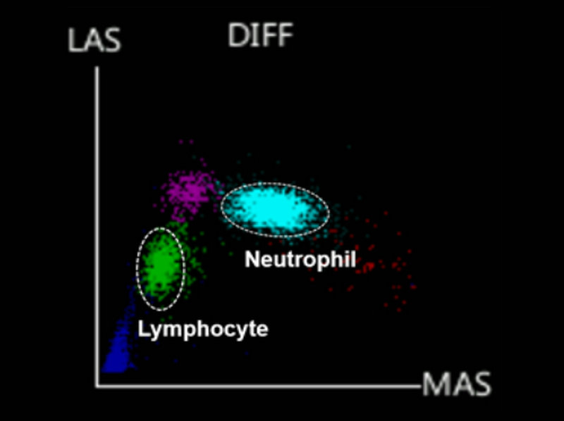 Top China Supplier of Elderly Rehabilitation and Beauty Care Products Top China Supplier of Elderly Rehabilitation and Beauty Care Products