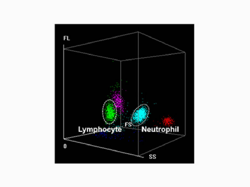 Top China Supplier of Elderly Rehabilitation and Beauty Care Products Top China Supplier of Elderly Rehabilitation and Beauty Care Products