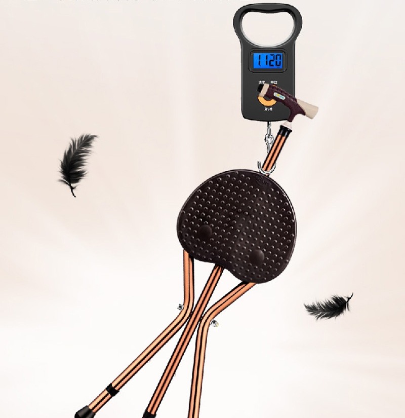 Top China Supplier of Elderly Rehabilitation and Beauty Care Products