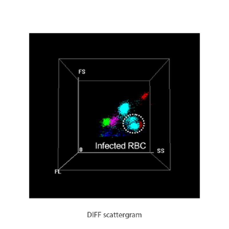 Top China Supplier of Elderly Rehabilitation and Beauty Care Products Top China Supplier of Elderly Rehabilitation and Beauty Care Products