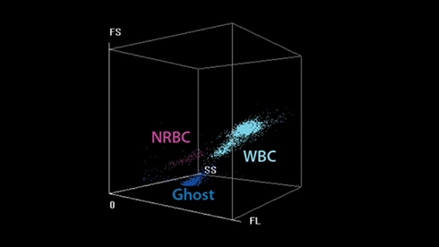 Top China Supplier of Elderly Rehabilitation and Beauty Care Products Top China Supplier of Elderly Rehabilitation and Beauty Care Products