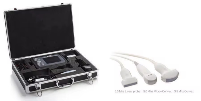 Top China Supplier of Elderly Rehabilitation and Beauty Care Products