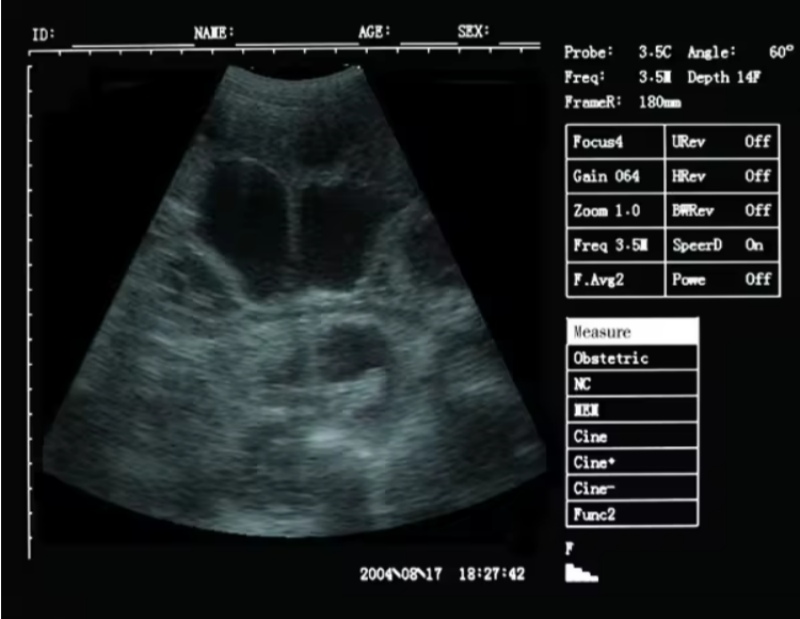 Top China Supplier of Elderly Rehabilitation and Beauty Care Products