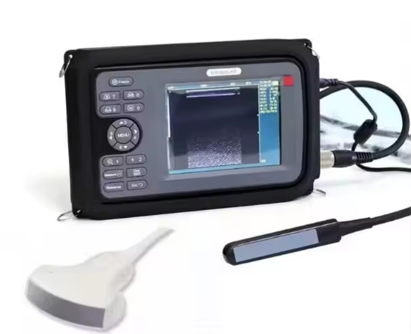 Top China Supplier of Elderly Rehabilitation and Beauty Care Products