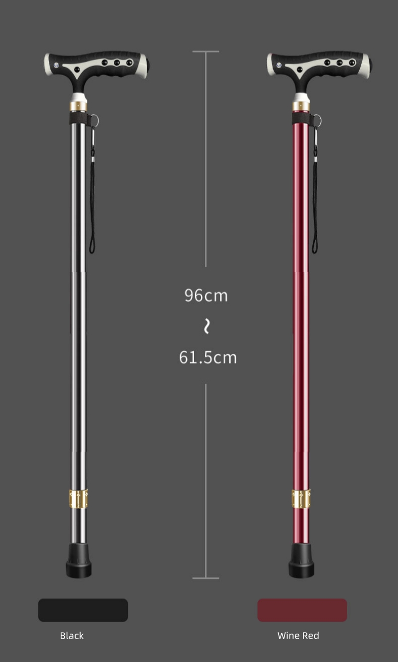 Top China Supplier of Elderly Rehabilitation and Beauty Care Products