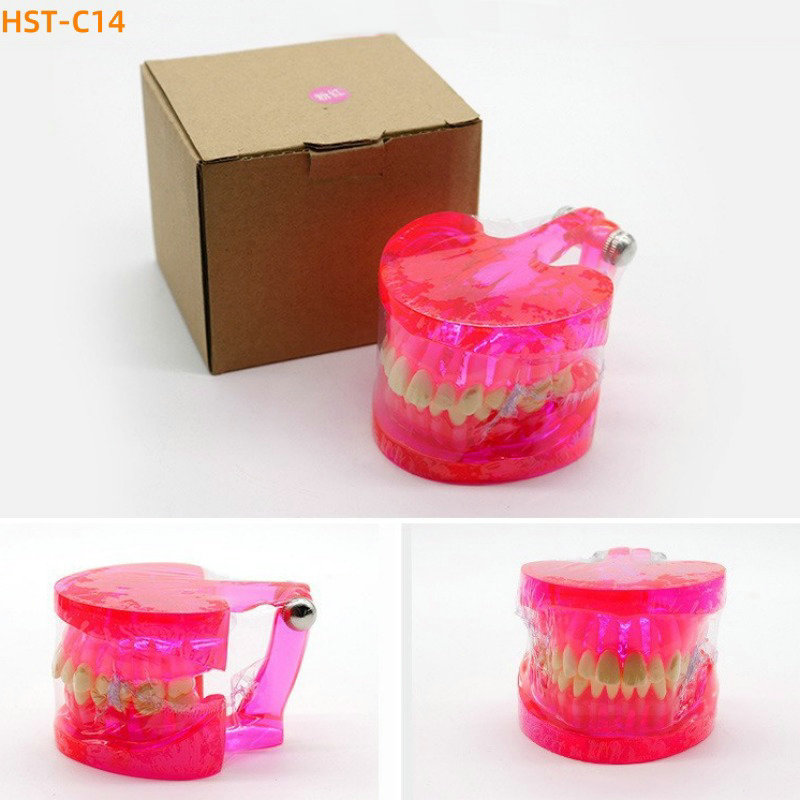 Top China Supplier of Elderly Rehabilitation and Beauty Care Products