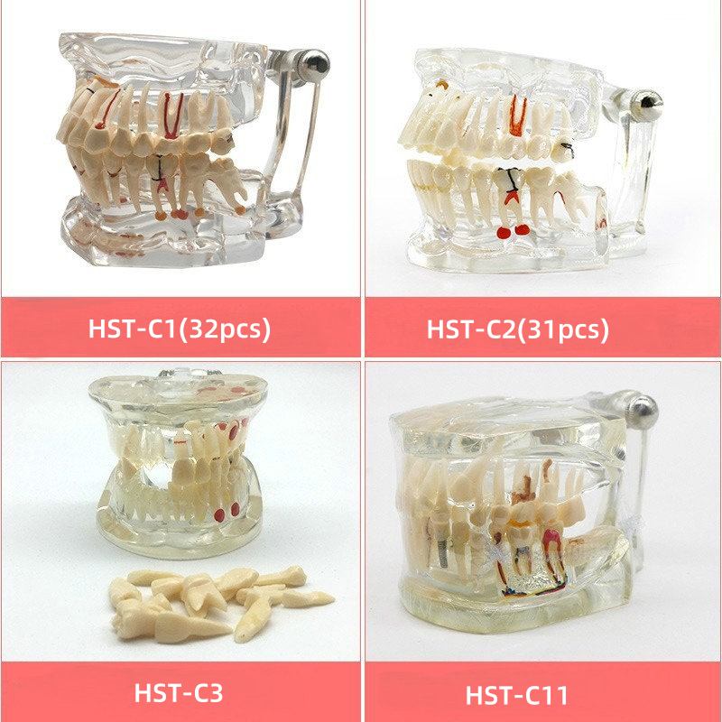 Top China Supplier of Elderly Rehabilitation and Beauty Care Products