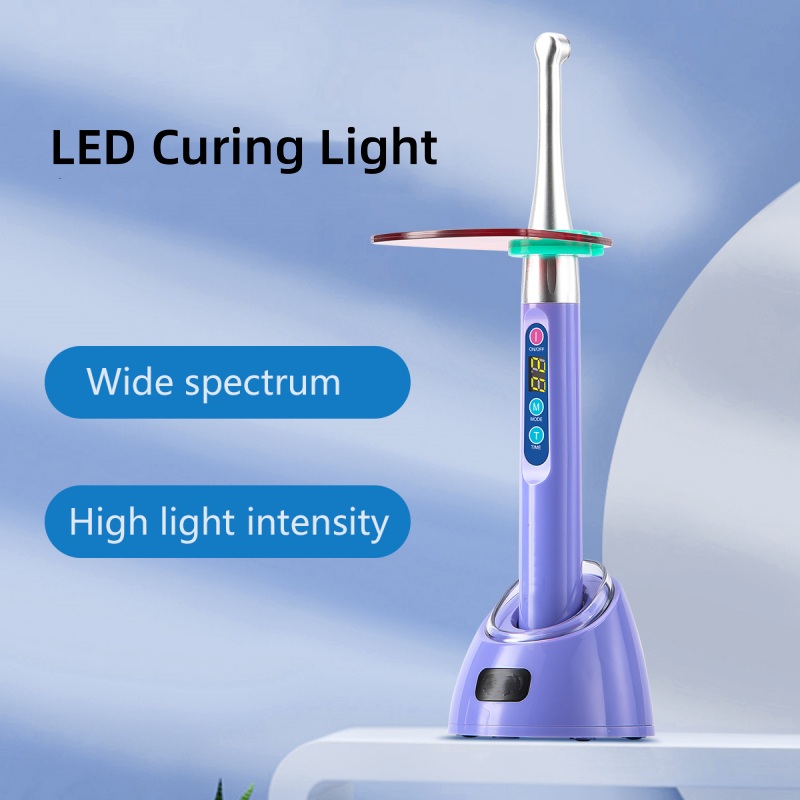 Top China Supplier of Elderly Rehabilitation and Beauty Care Products