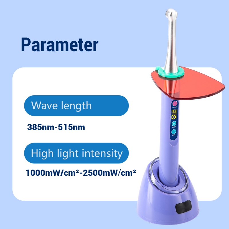 Top China Supplier of Elderly Rehabilitation and Beauty Care Products