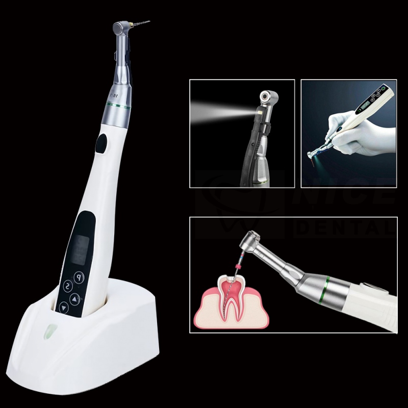 Top China Supplier of Elderly Rehabilitation and Beauty Care Products Top China Supplier of Elderly Rehabilitation and Beauty Care Products