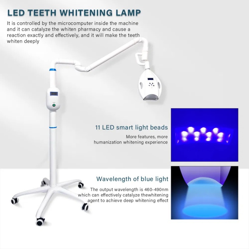 Top China Supplier of Elderly Rehabilitation and Beauty Care Products Top China Supplier of Elderly Rehabilitation and Beauty Care Products