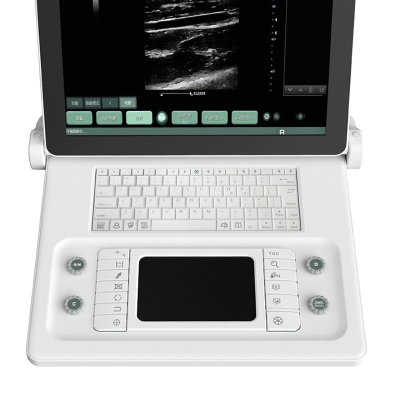 High Definition Digital B/W Diagnostic System Doppler Portable Laptop Ultrasound Scanner