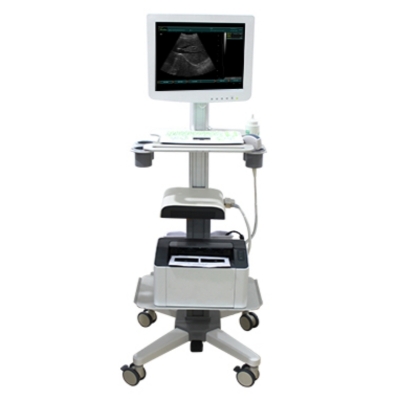Trolley Type B/W Diagnostic System Medical Touchscreen Doppler Ultrasound Machine