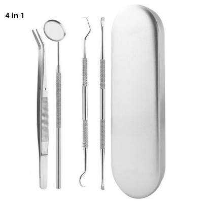 Dental Set Teeth Cleaning Kit Probe Tweezers Scaler Tool