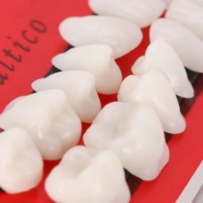 Dental Material Tooth Teaching Models Synthetic Resin Teeth Model