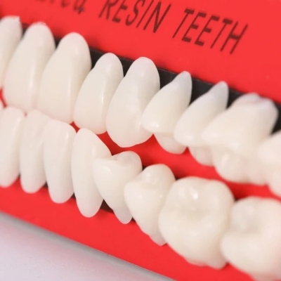 Dental Material Tooth Teaching Models Synthetic Resin Teeth Model